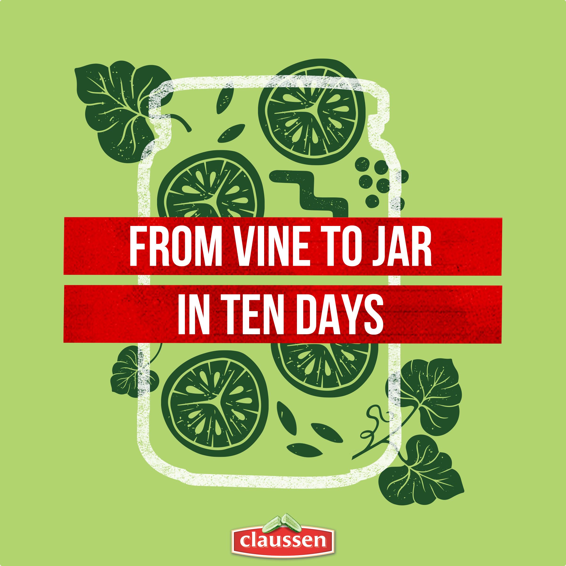 Kosher Dill Pickle Chips
