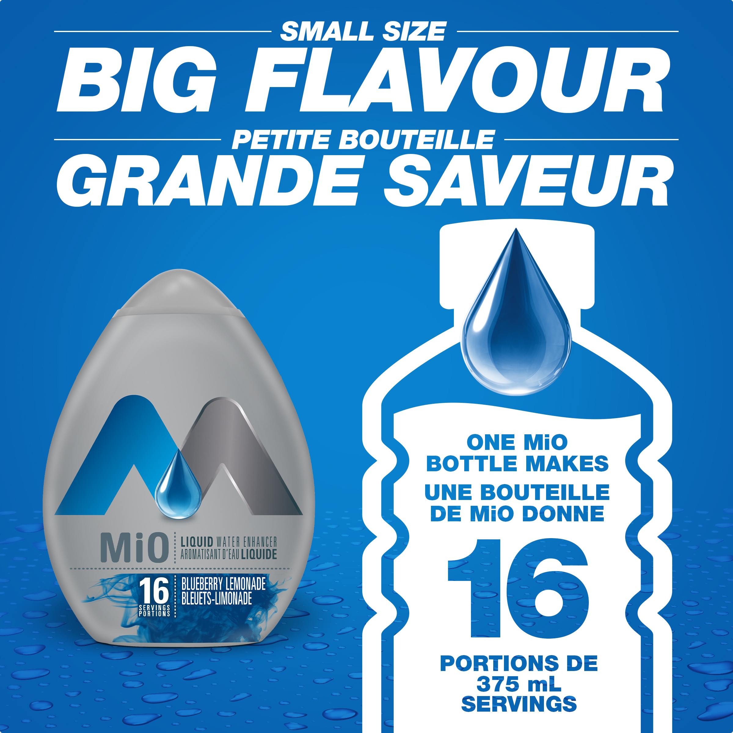 Blueberry Lemonade Liquid Water Enhancer