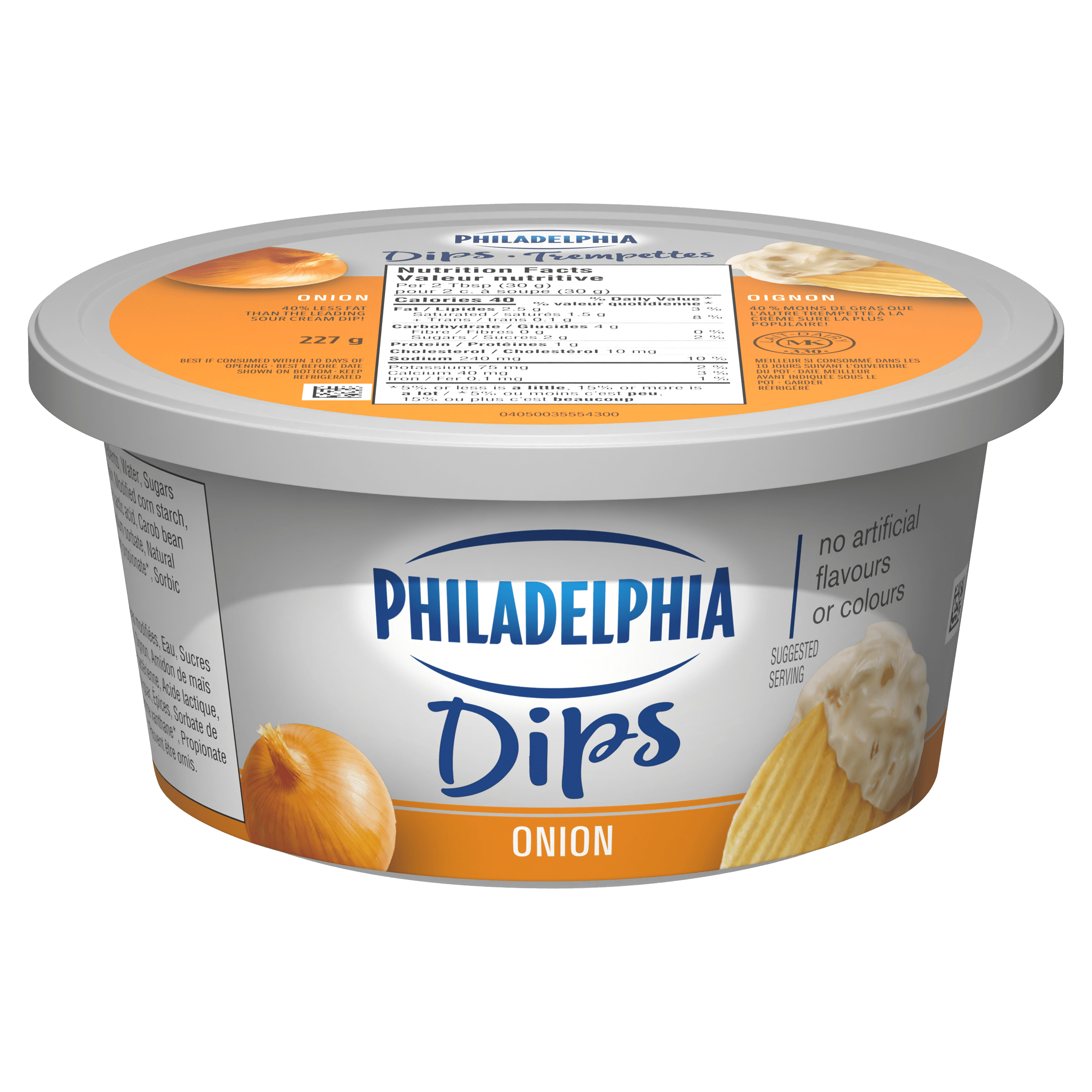 Onion Dip