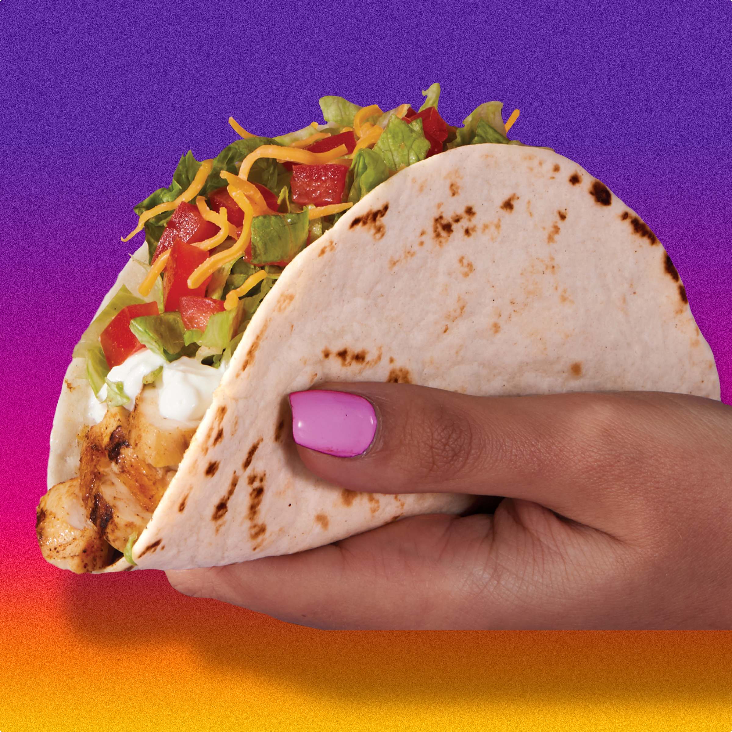 Crunchy & Soft Taco Cravings Kit
