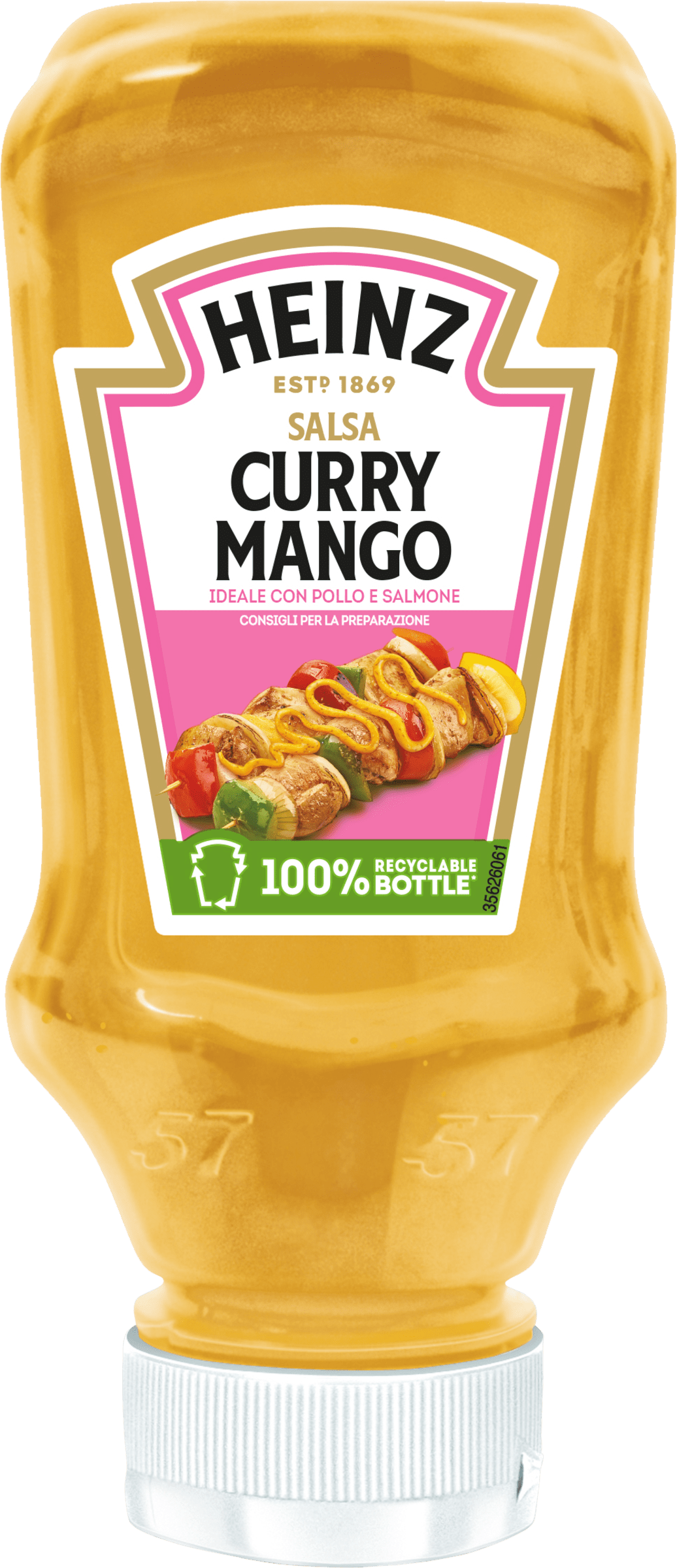 Salsa Curry Mango