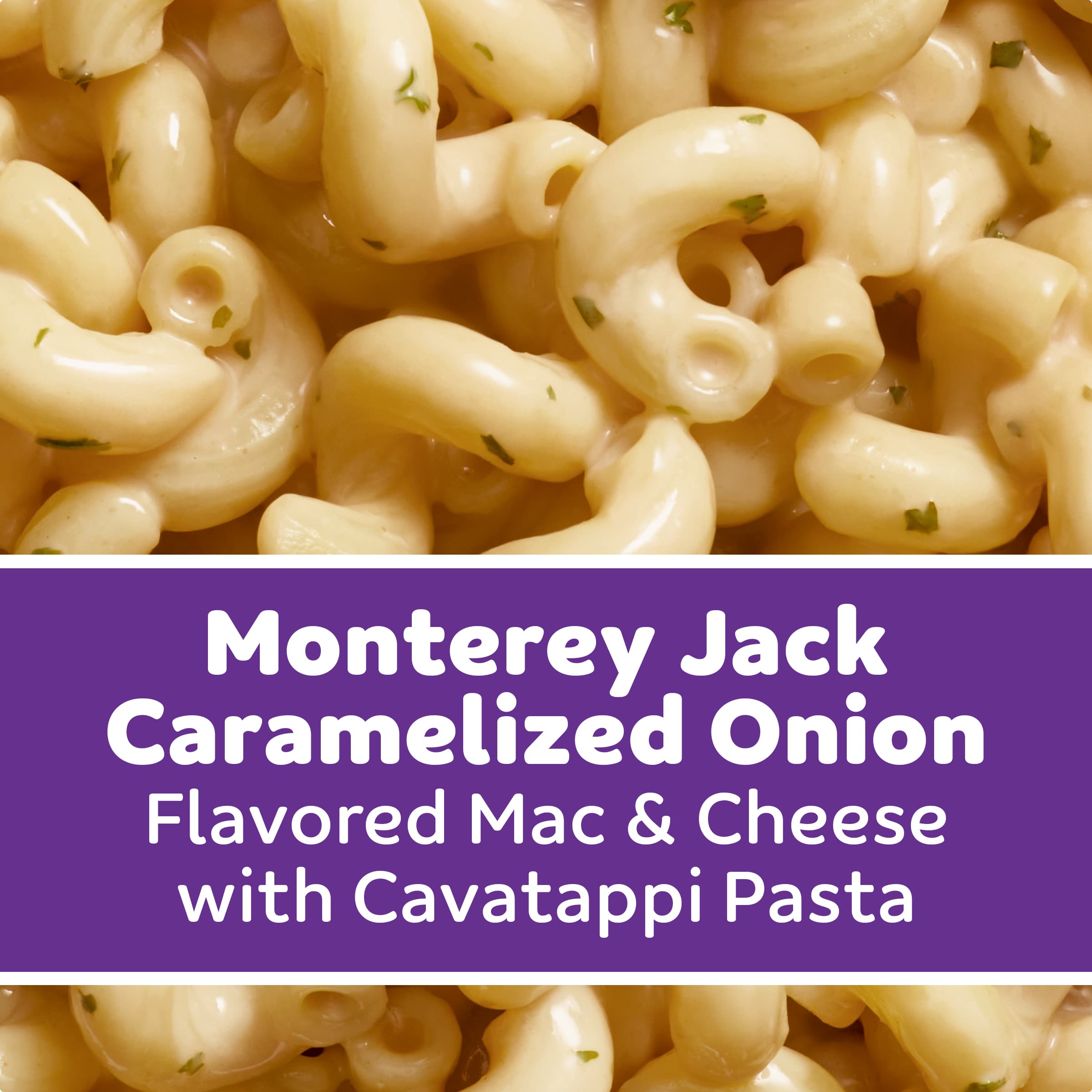 Monterey Jack Caramelized Onion Mac & Cheese Macaroni and Cheese Dinner