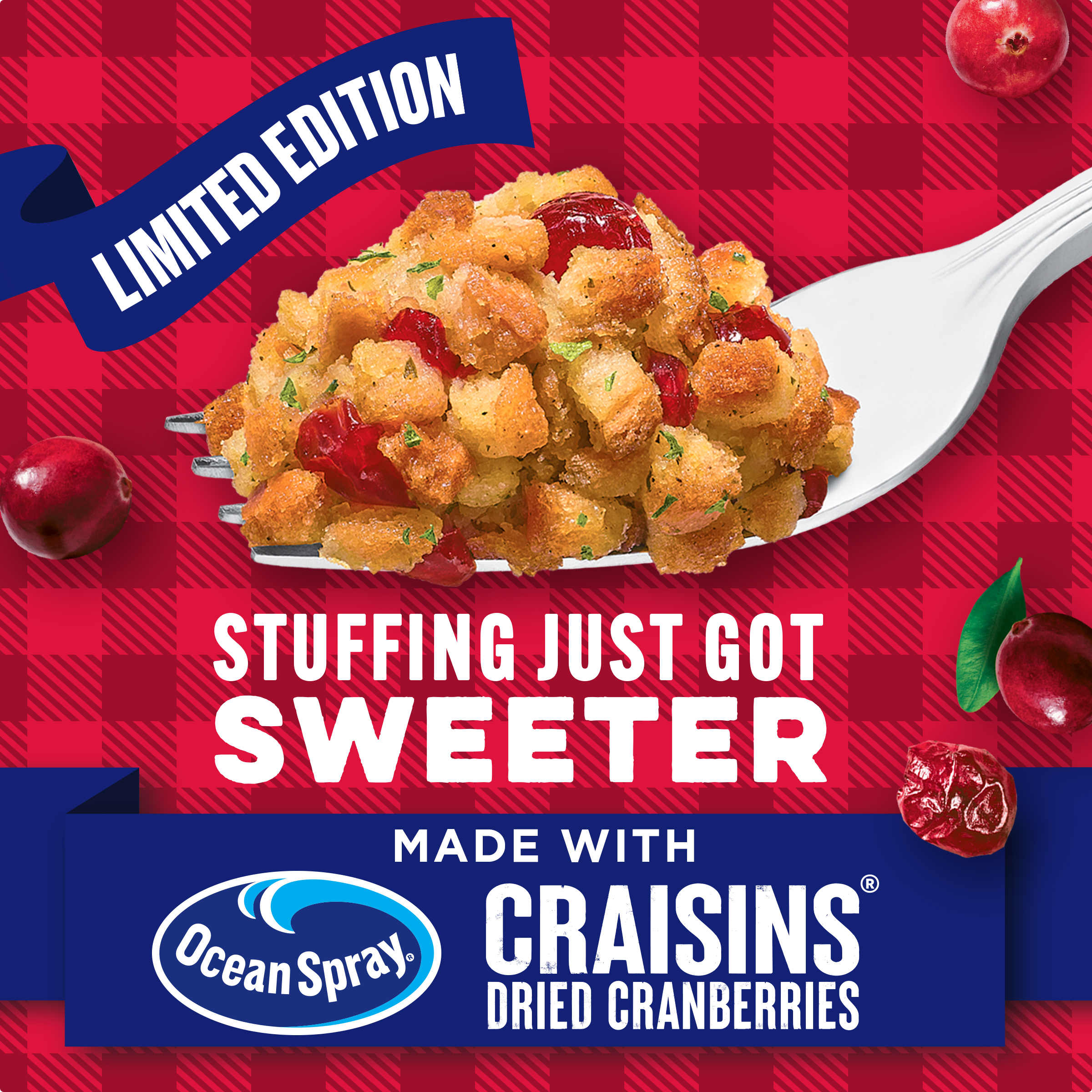 Cranberry Stuffing Mix