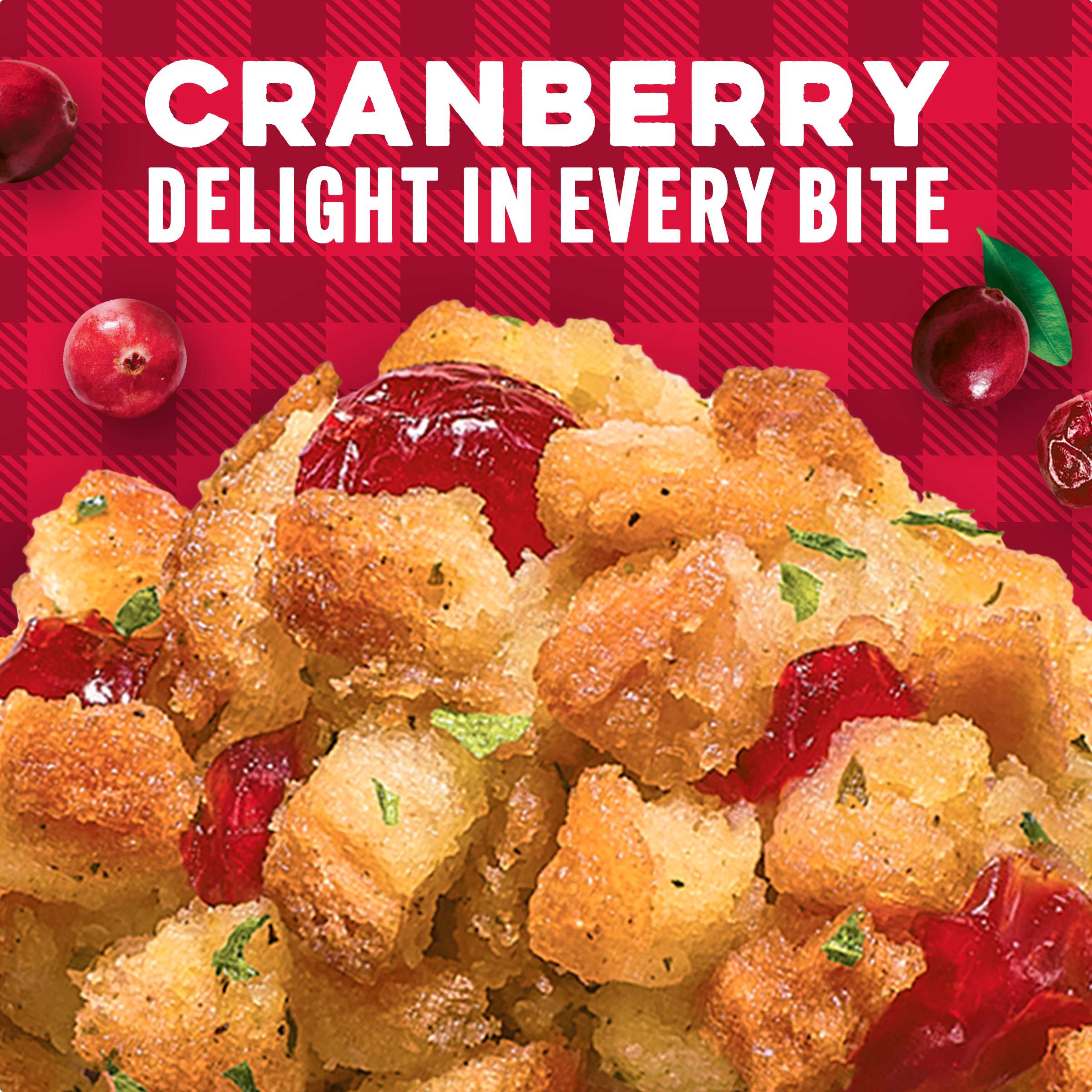 Cranberry Stuffing Mix