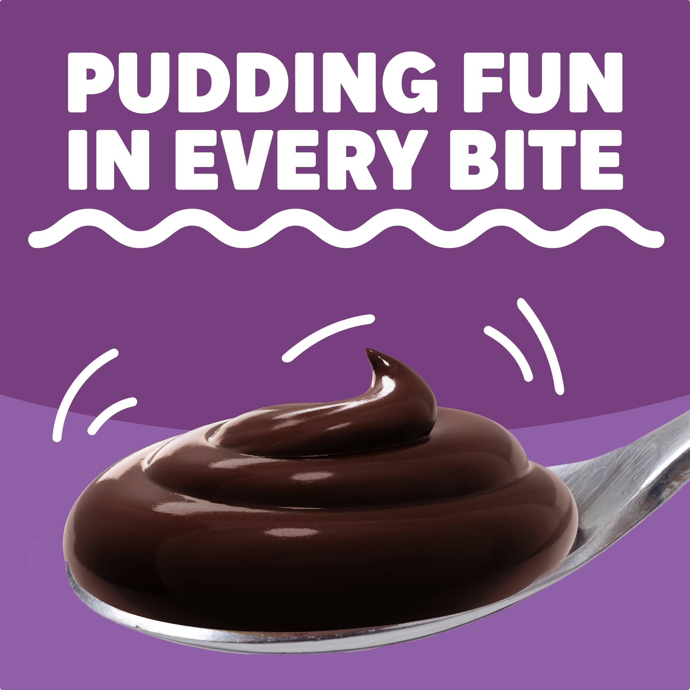 Chocolate Fudge Instant Pudding & Pie Filling Mix