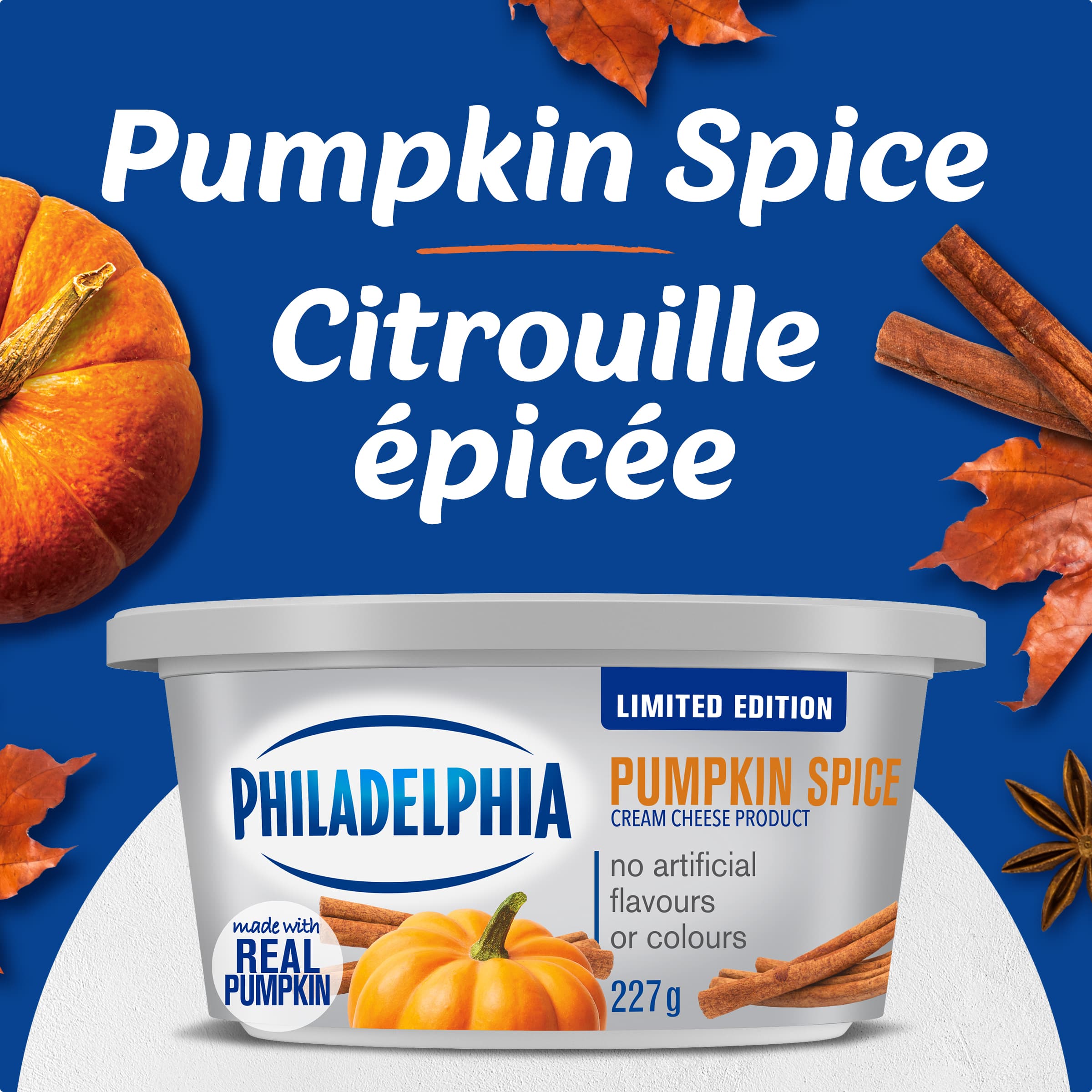 Produit de fromage à la crème Philadelphia aux épices de citrouille