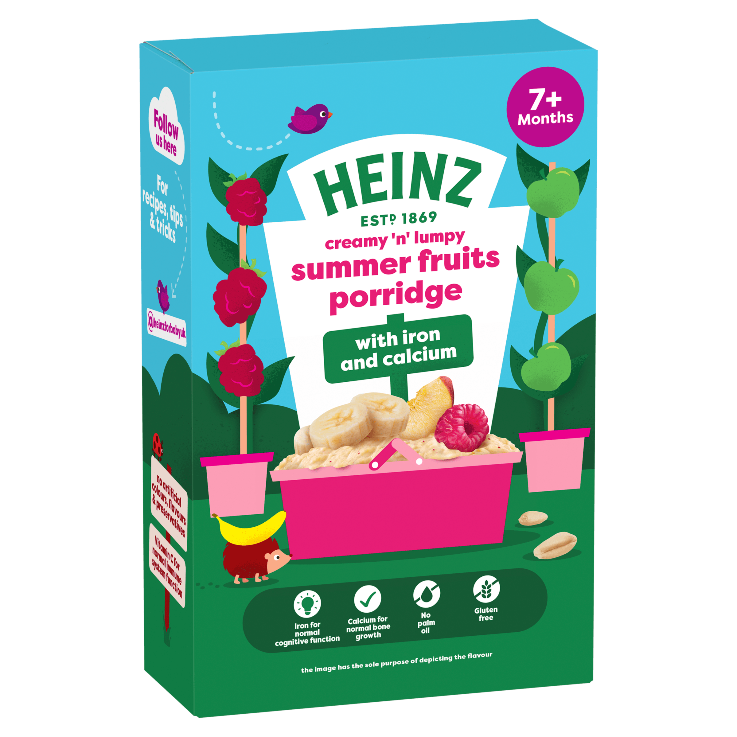 Summer Fruits Porridge