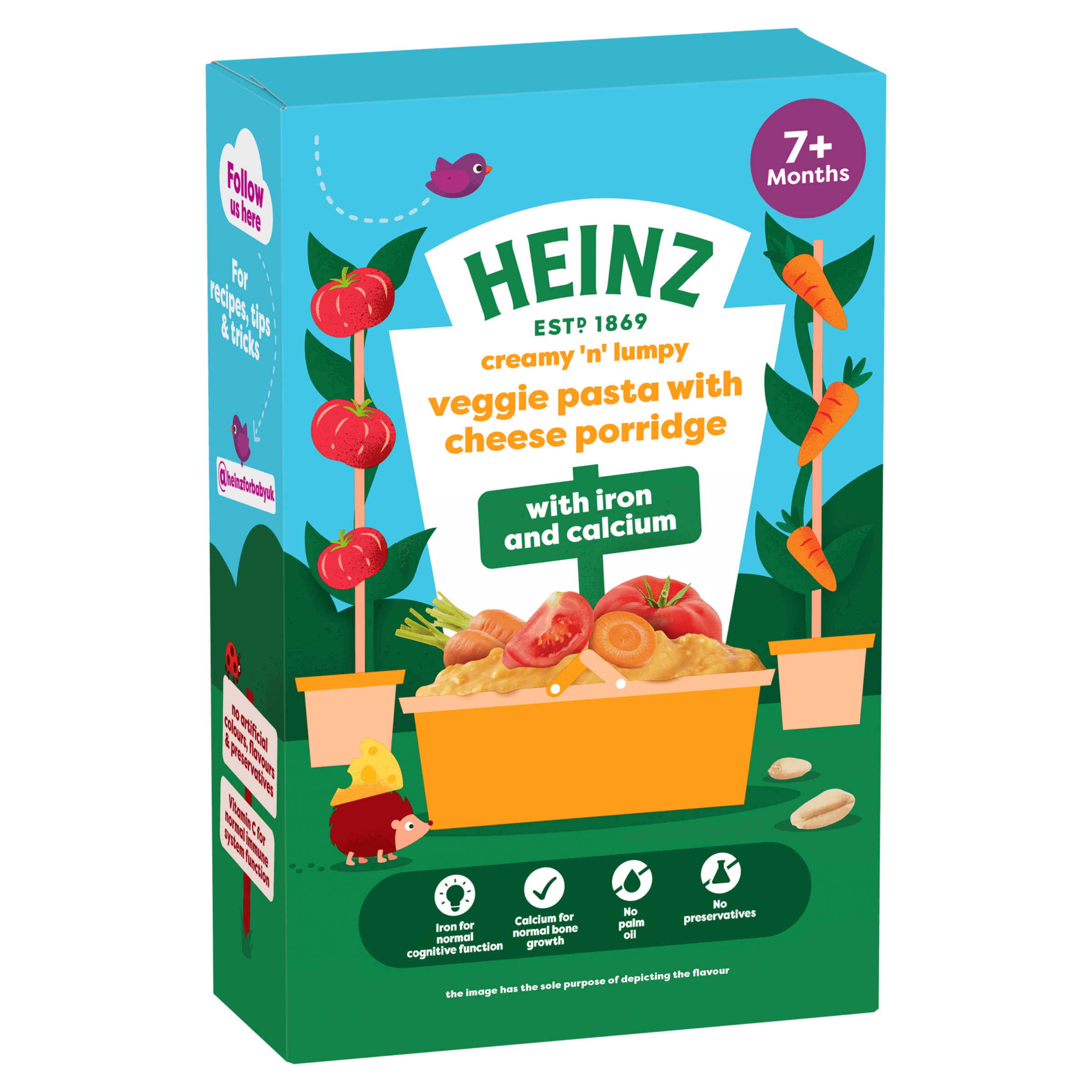 Veggie Pasta with Cheese Porridge