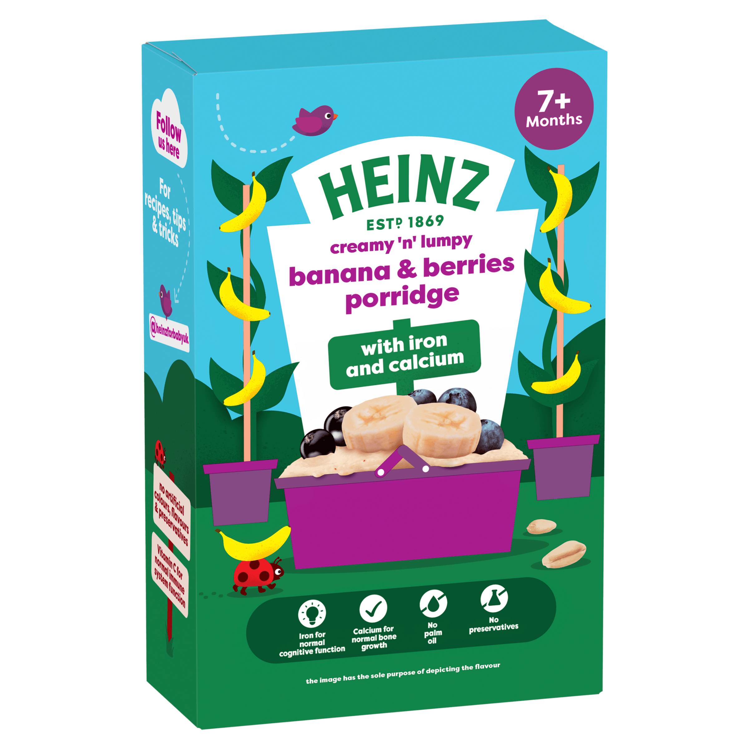 Banana & Berries Porridge