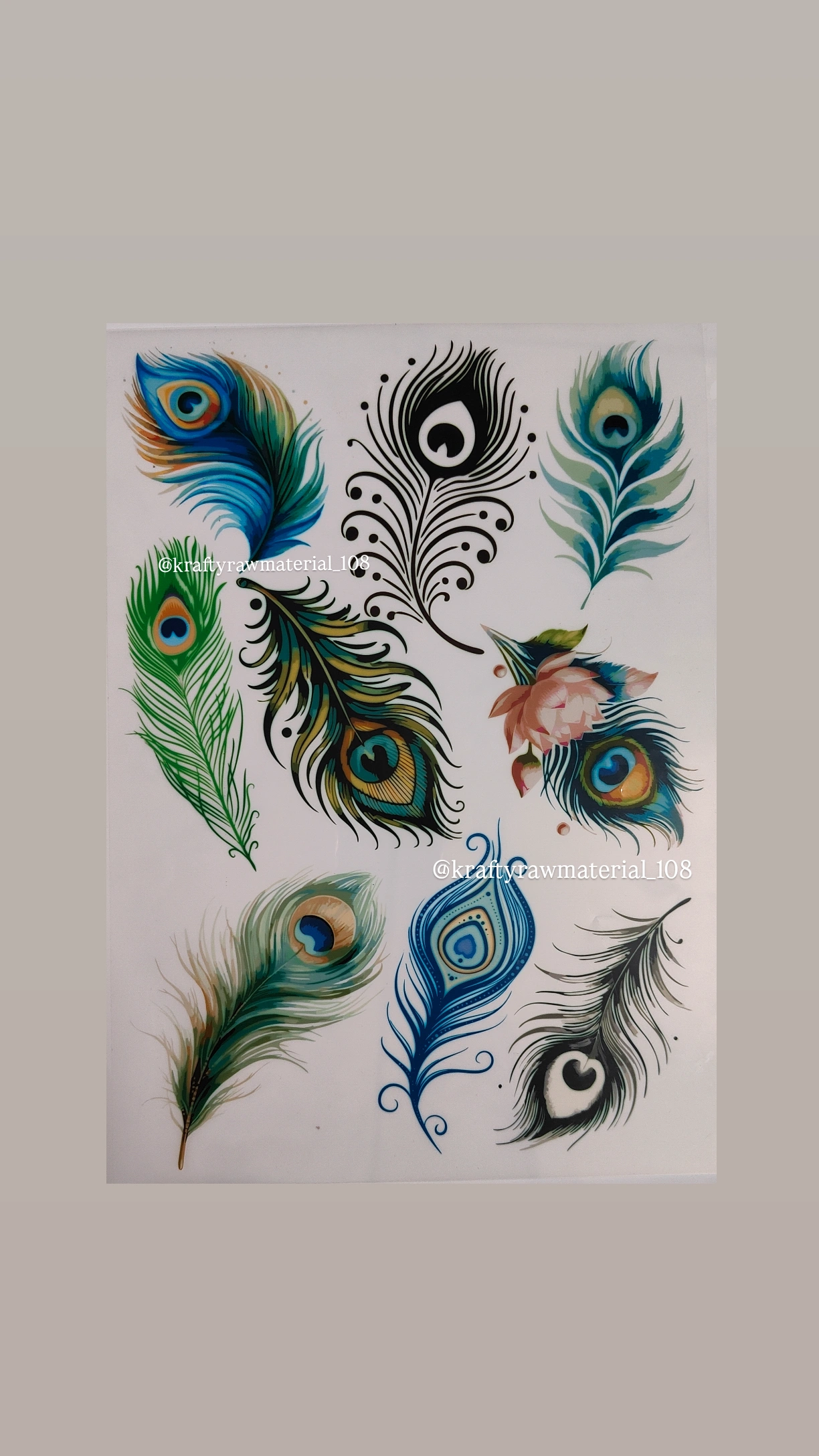Peacock feather Insert Sheet A4