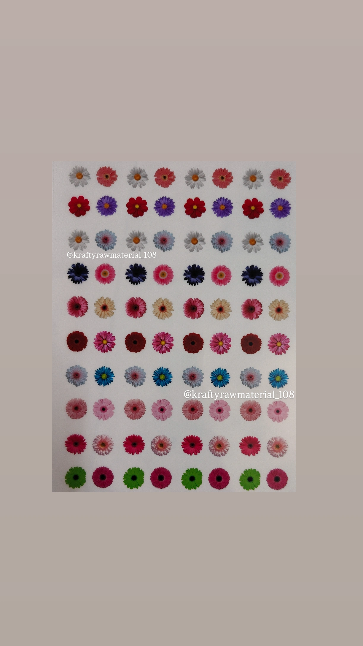 Flower Insert Sheet A4