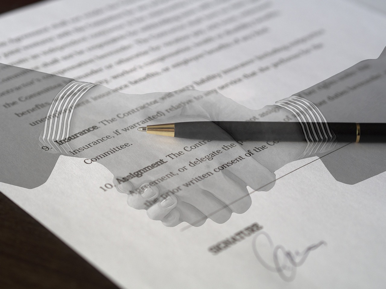 Legal Support