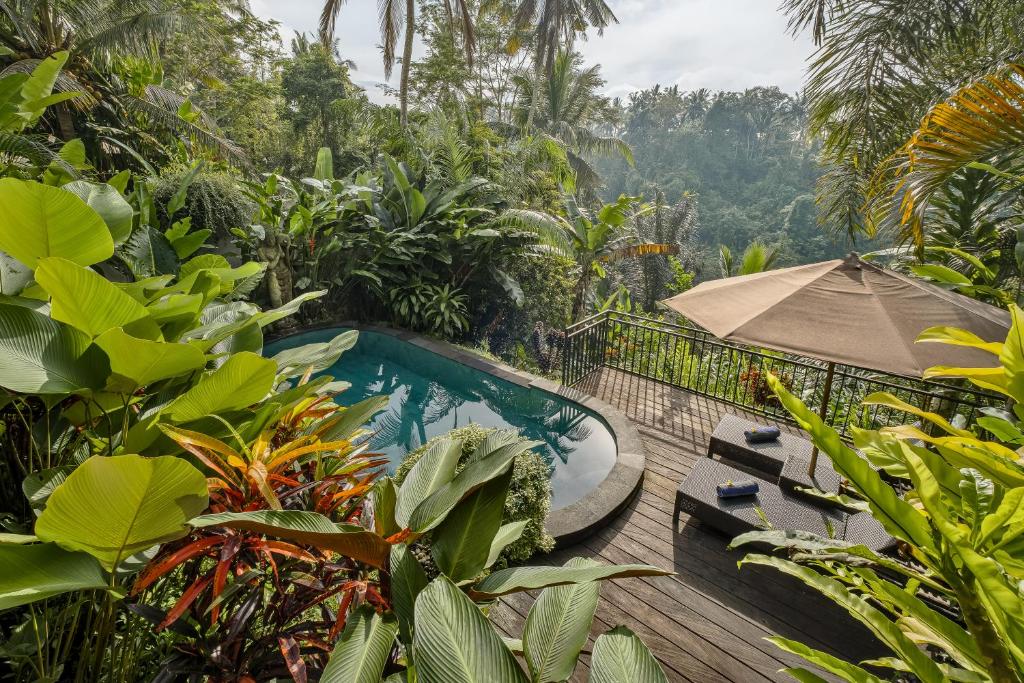 Bali dream stay image of Bali dream stay