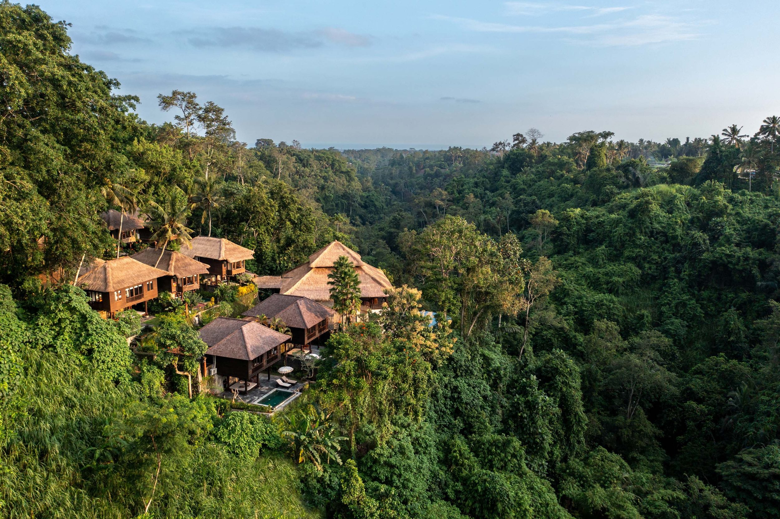 Brazilian jungle luxury stay image of Brazilian jungle luxury stay