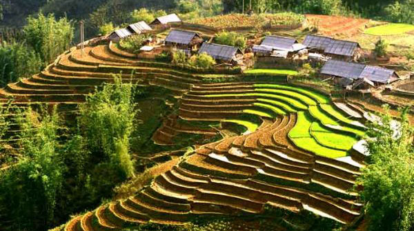 Sapa image of Sapa
