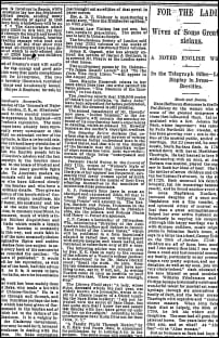 Sunday Chronicle from July 19, 1885