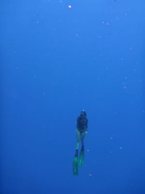 Image description