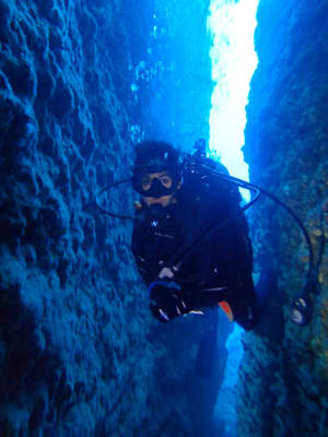 Image description