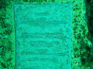 Image description
