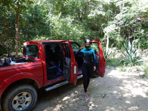 Image description
