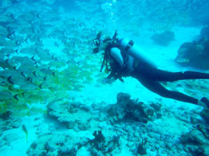 Image description