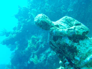 Image description