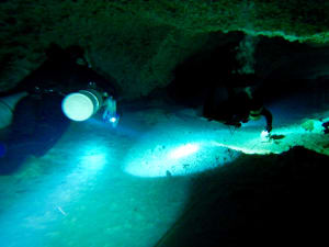 Image description