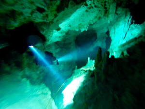 Image description