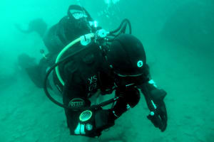 Image description
