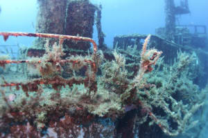 Image description