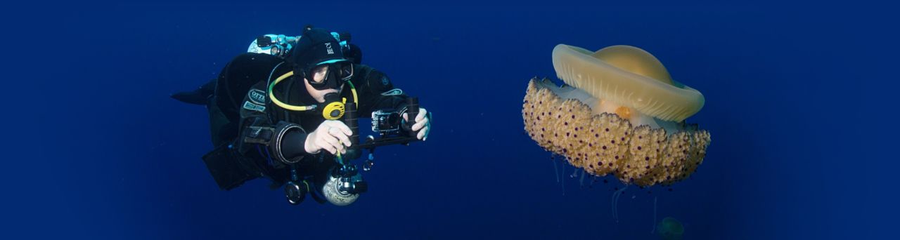 Sarah and the Fried-egg Jellyfish (Cotylorhiza tuberculata)