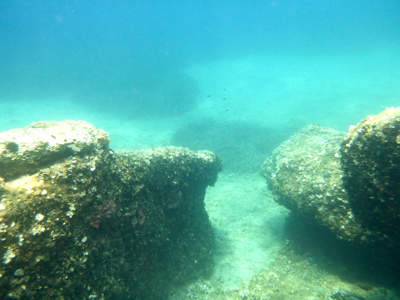 any of the large boulders strewn about the seafloor.