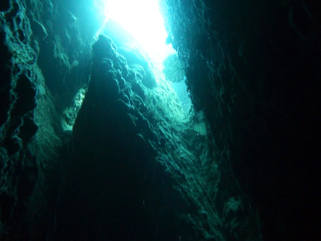 divelog·blue dives Horseshoe Beach, Okinawa