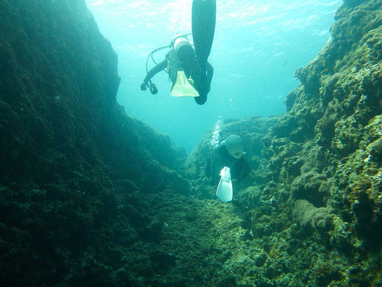 divelog·blue dives Horseshoe Beach, Okinawa