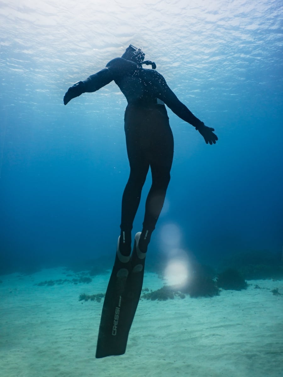 divelog·blue dives: anchor bay