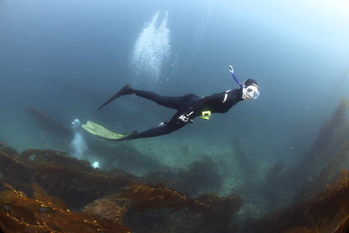 divelog·blue dives: casino point, catalina