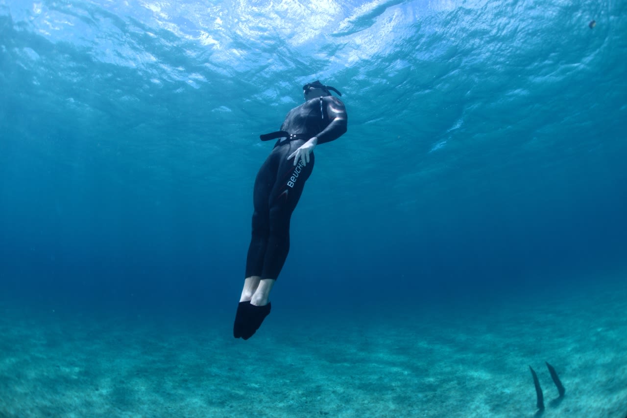 divelog·blue dives: seven mile beach