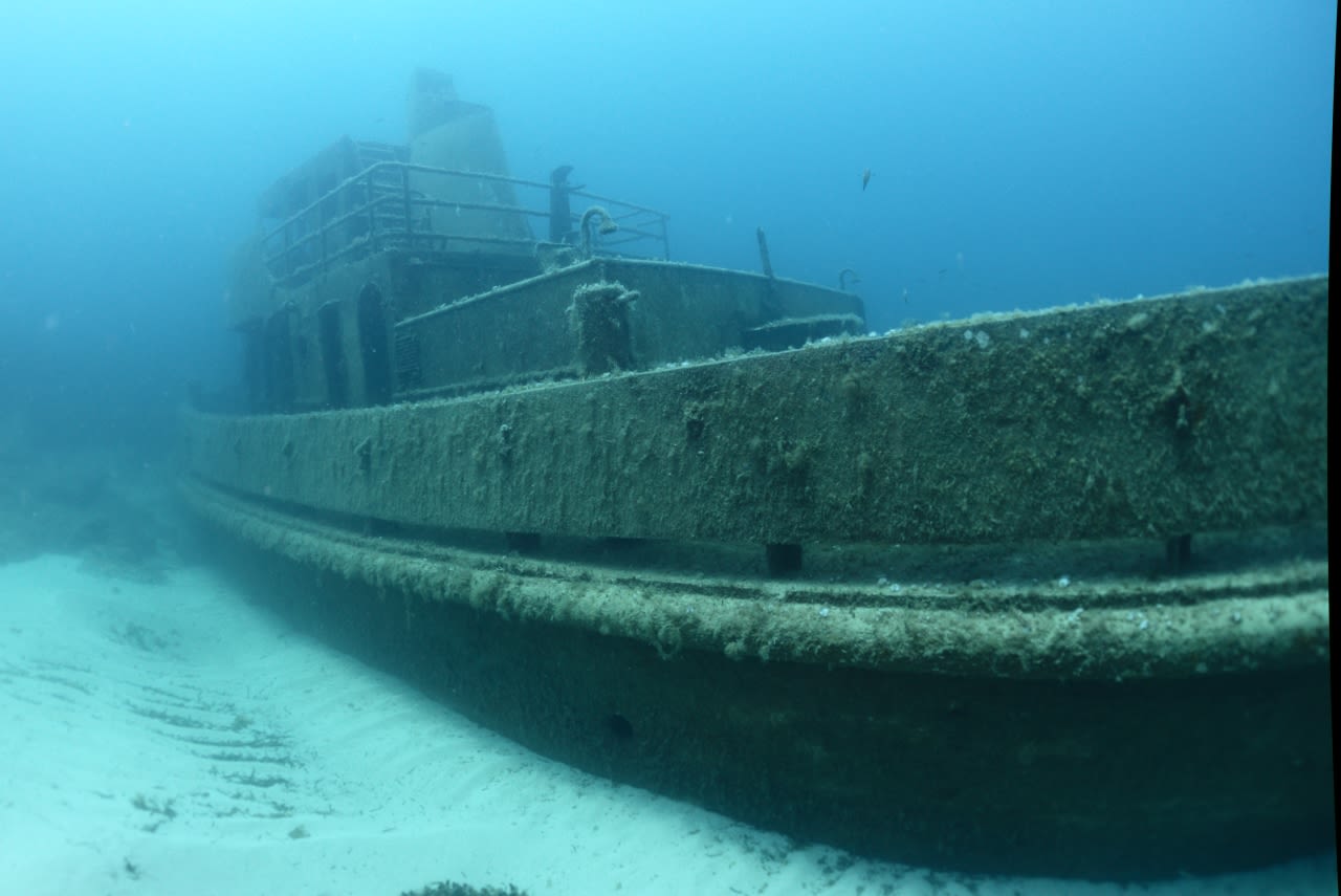 divelog·blue dives: Sliema