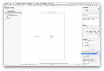 Setting up main storyboard