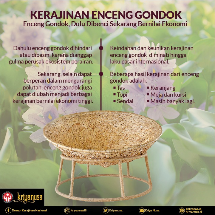 Enceng Gondok, Dulu Dibenci Sekarang Bernilai Ekonomi