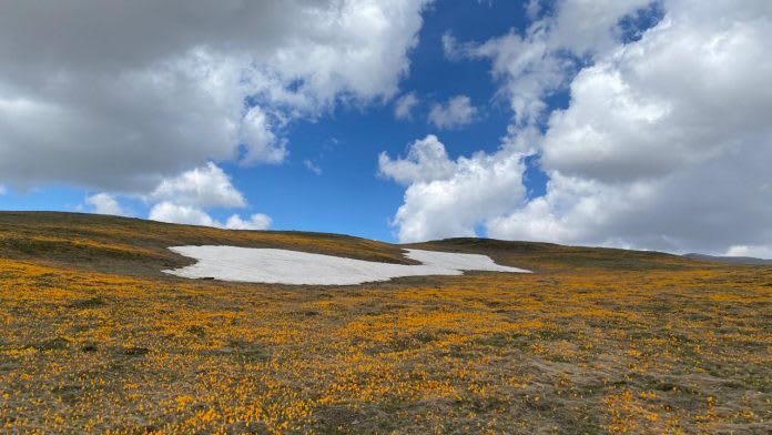 Moti i qëndrueshëm dhe kthjellime, ja parashikimi meteorologjik për datën 14 tetor 2026