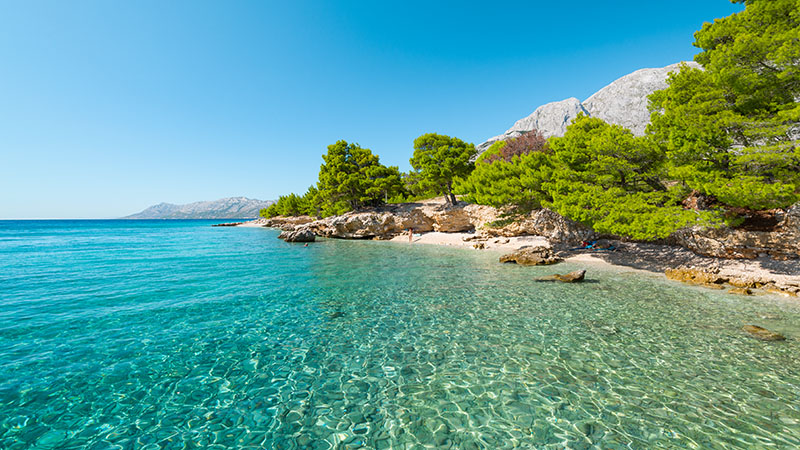 Strand med klarbltt vatten i Kroatien