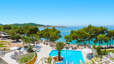 Poolomrde hotell Park i Kroatien