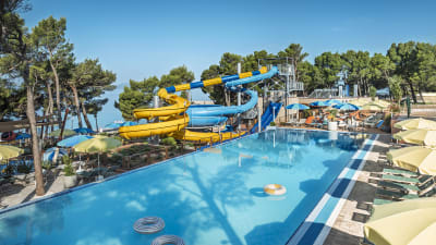 Poolomrde i Kroatien med solstolar fr chartergster