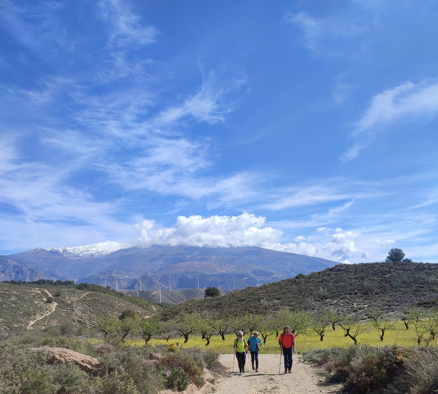 Cónchar, Atalaya del Marchal