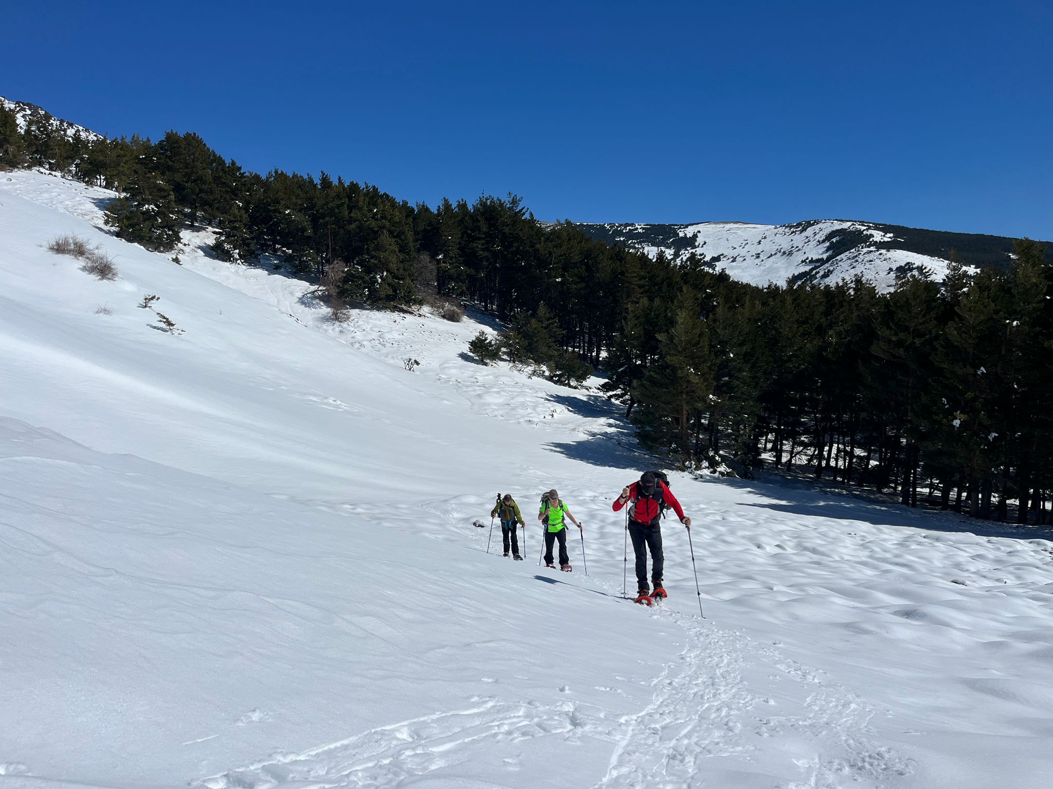 Snowshoing Puente Palo