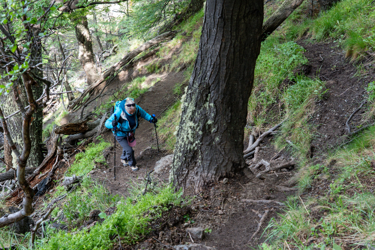 Kiersten fighting her way through the woods