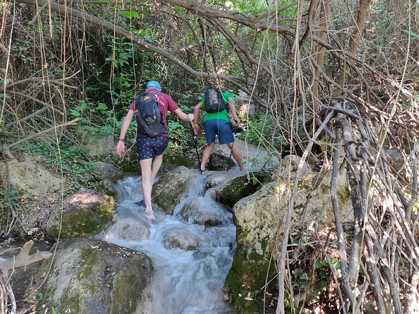 Summer Walking with Water (Rio Santos)