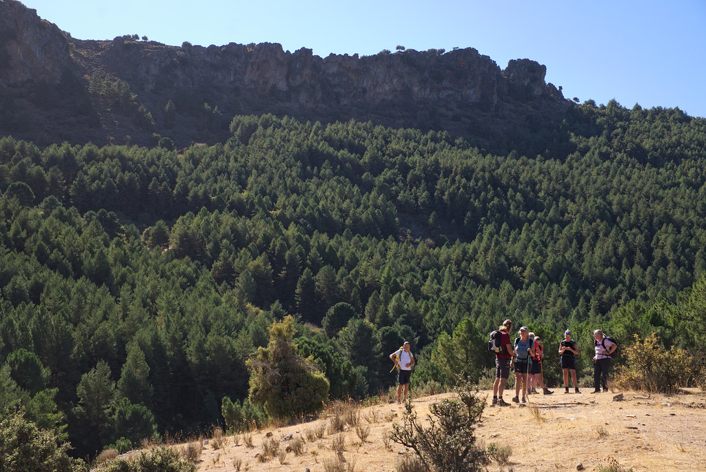 Forests of the Sierra de Huetor