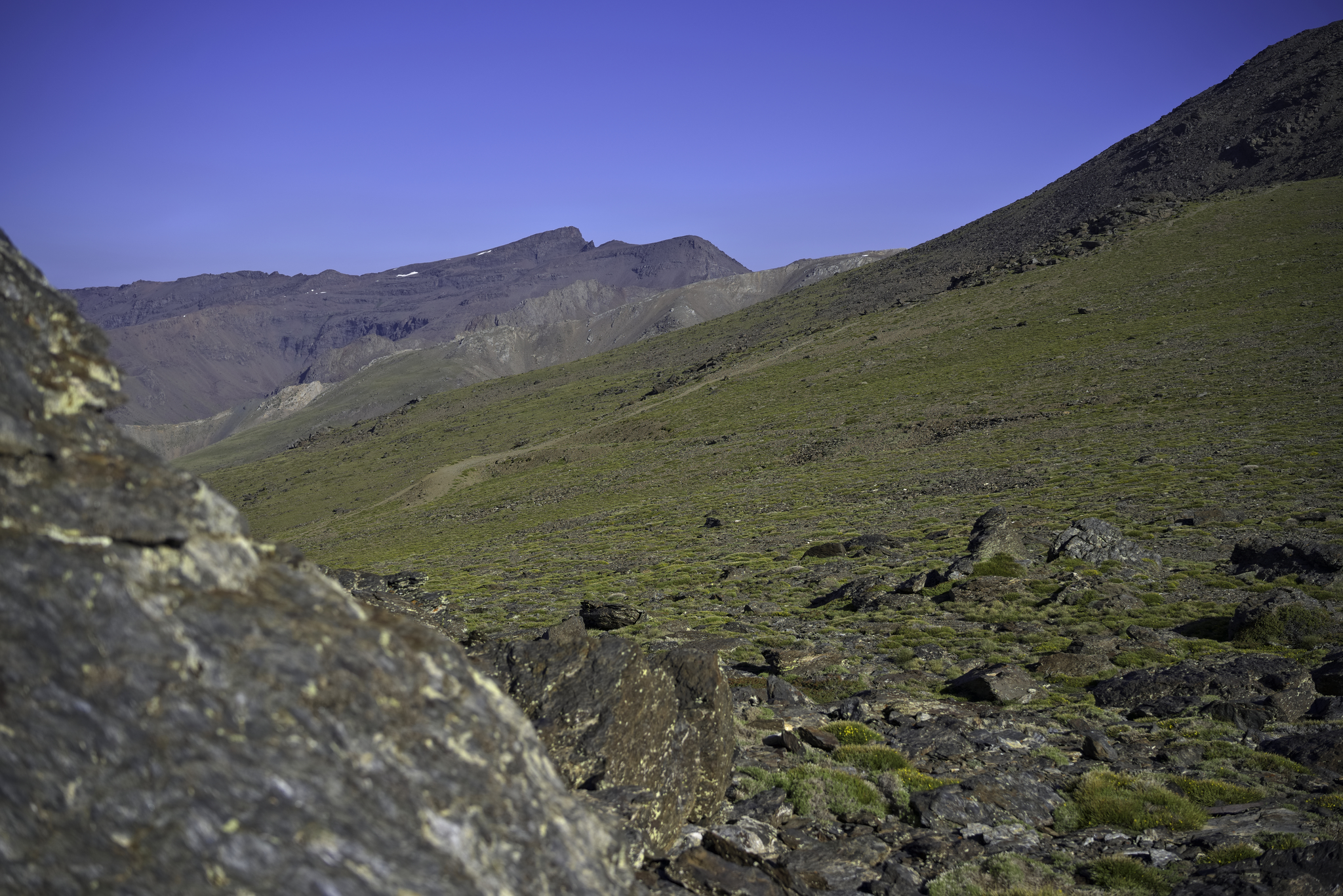 Just about to reach the main Mulhacen track